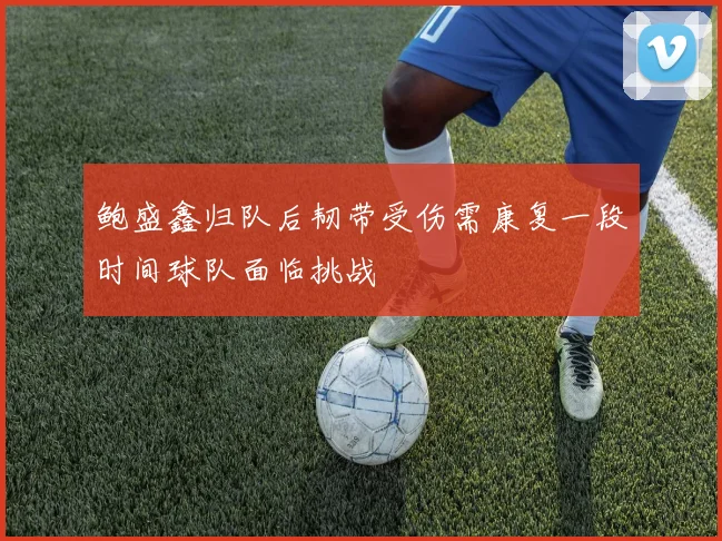 鲍盛鑫归队后韧带受伤需康复一段时间球队面临挑战